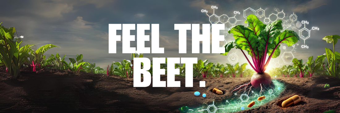 Betaine in Microdose Stacking: Enhancing Your Practice, Supporting Your Body