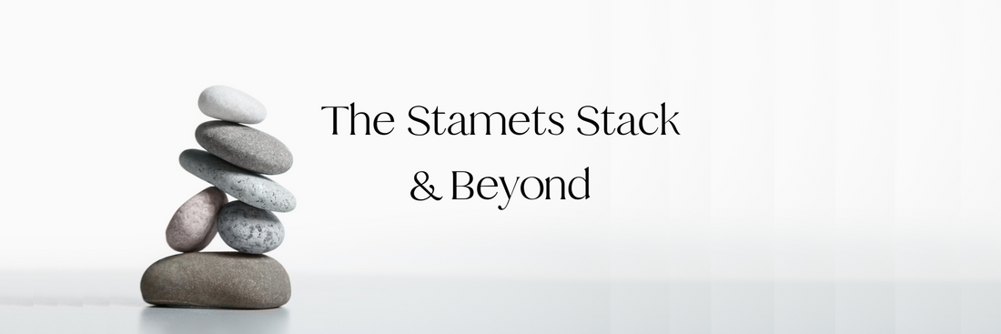 The Stamets Stack and Beyond title text next to a pile of smooth stones on a plain white background